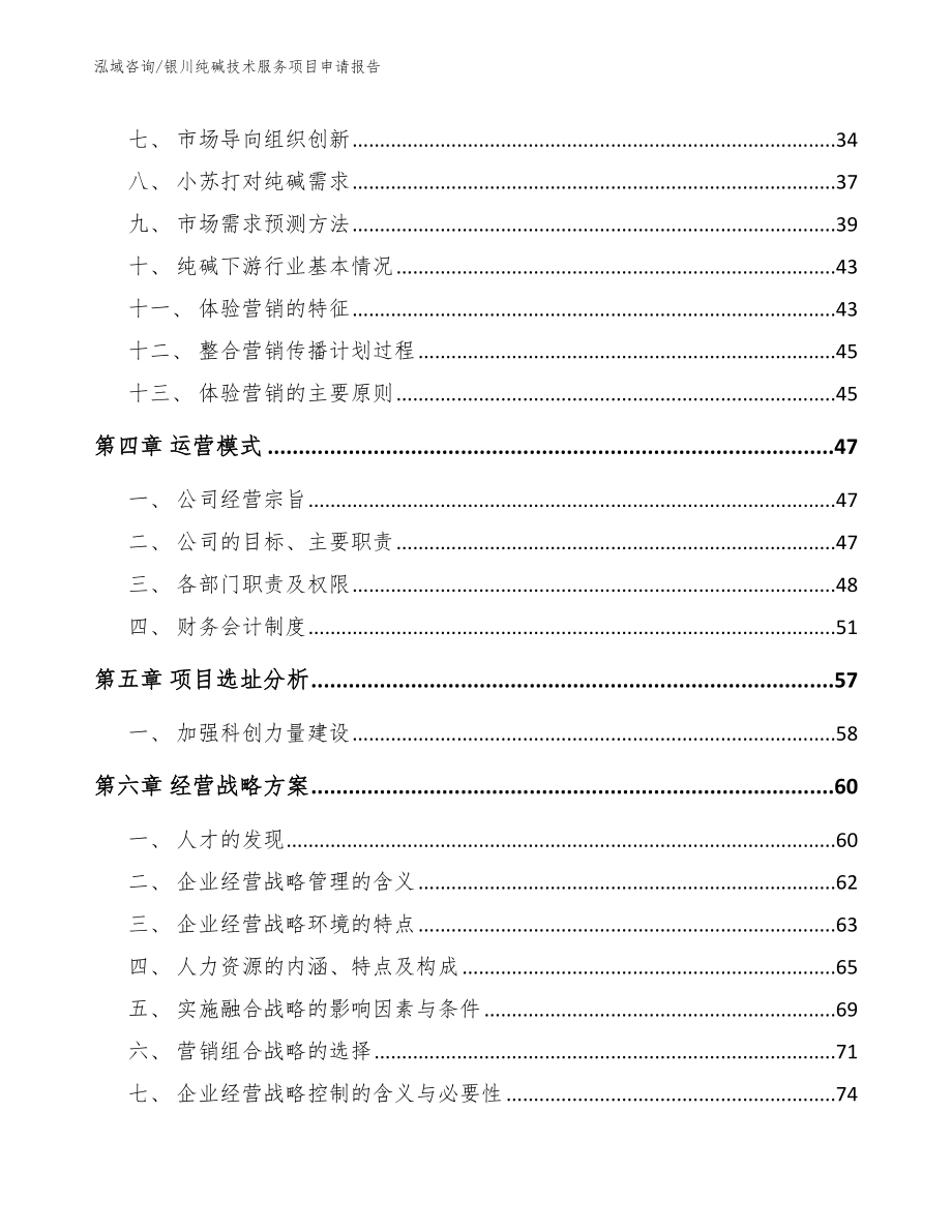 银川纯碱技术服务项目申请报告_参考范文_第3页