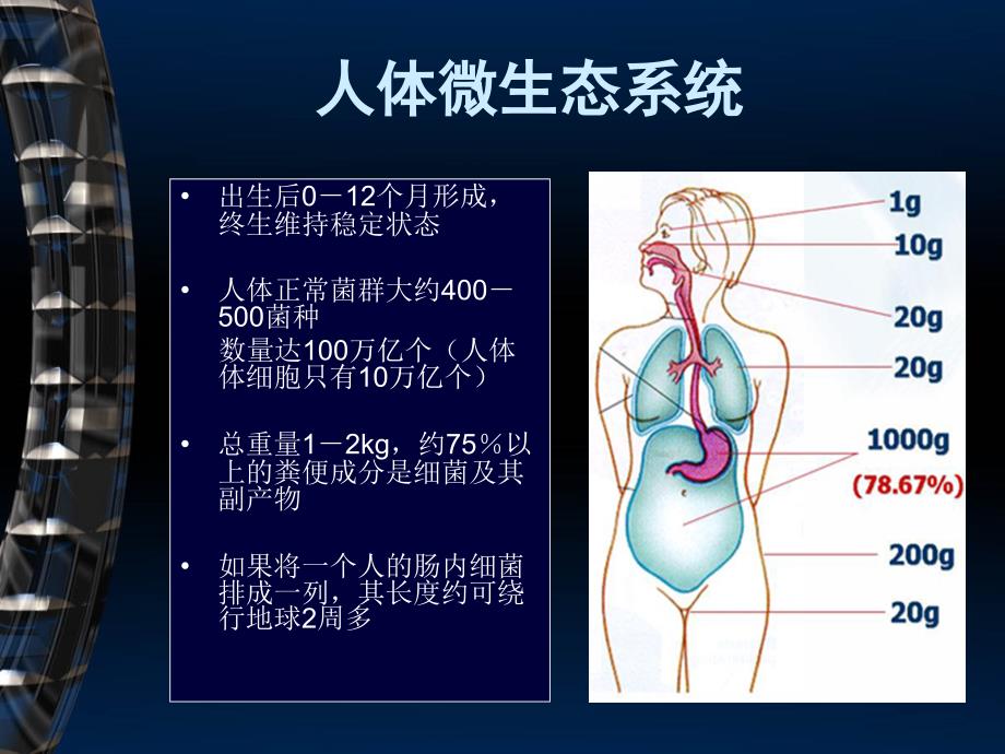 《菌群与肠道疾病》PPT课件_第2页