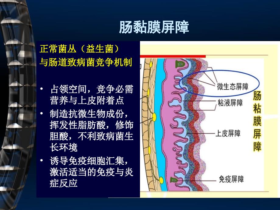 《菌群与肠道疾病》PPT课件_第3页