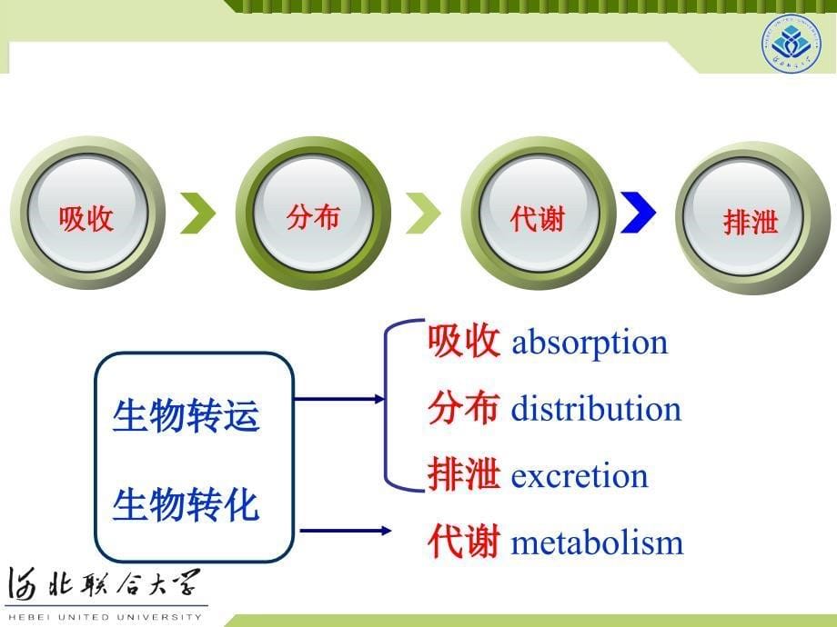 毒理学基础教学课件：第三章 外源性化合物在体内的生物转运和生物转化_第5页