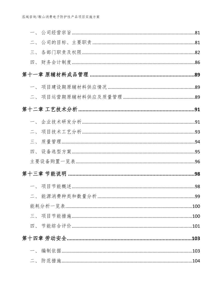 鞍山消费电子防护性产品项目实施方案_范文模板_第5页