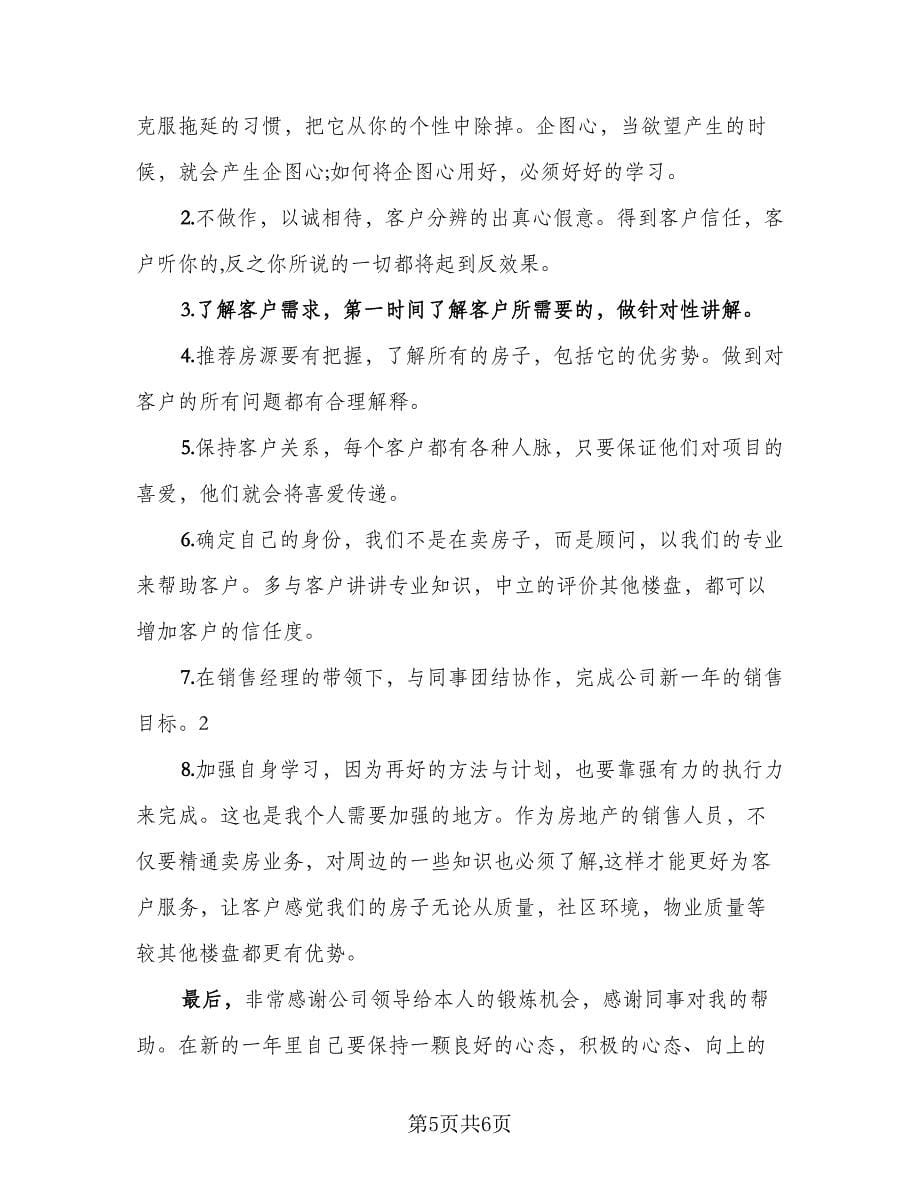 房产置业顾问个人工作总结例文（二篇）.doc_第5页