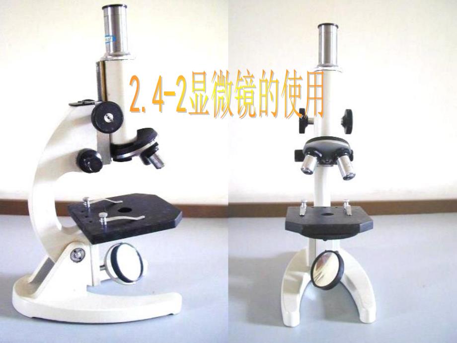 显微镜PPT课件_第2页