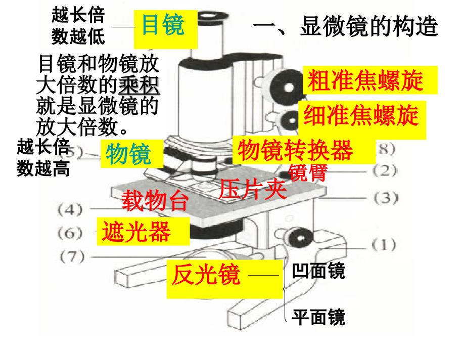 显微镜PPT课件_第3页