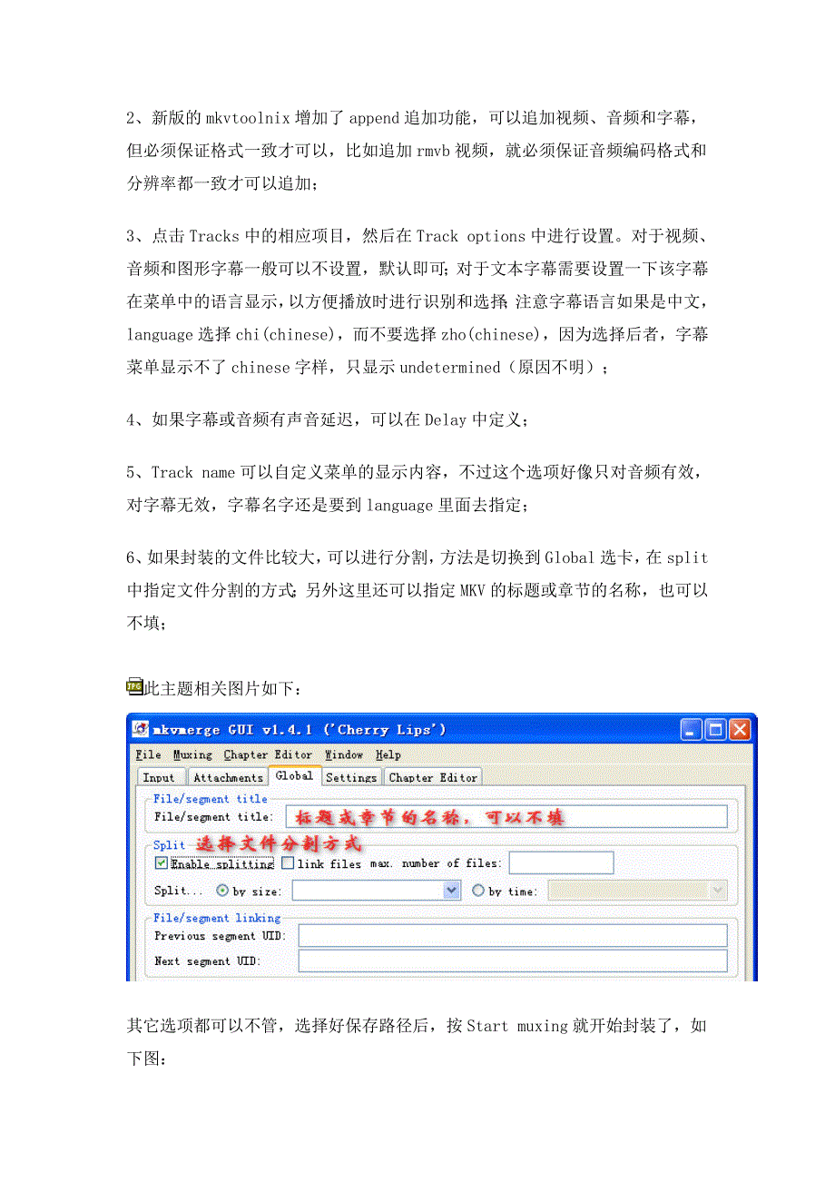 【原创】MKV的制作和提取方法详解.doc_第3页