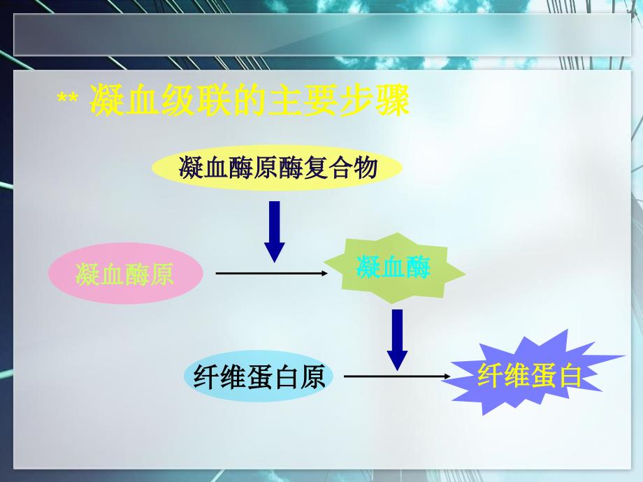 抗凝药分类及作用机制_第4页