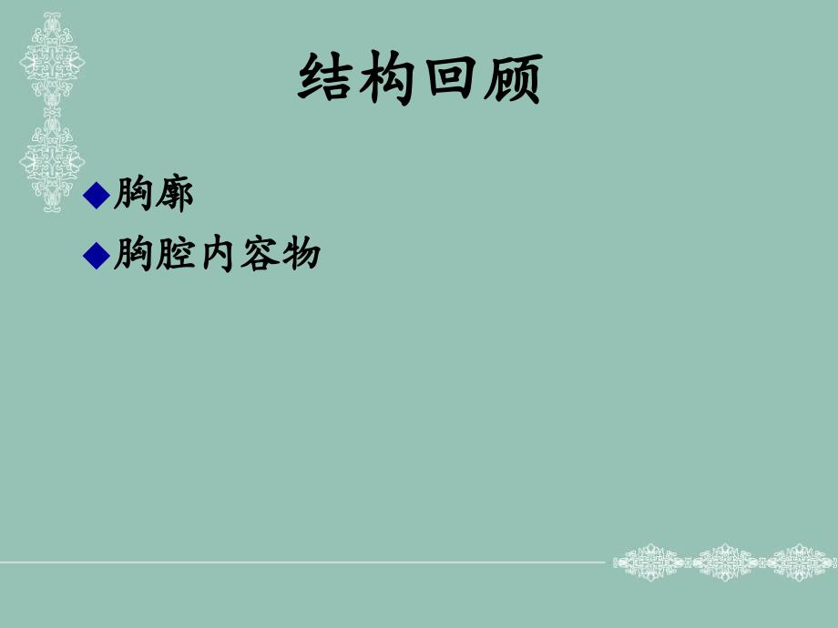 人体断面解剖学胸部文档资料_第1页