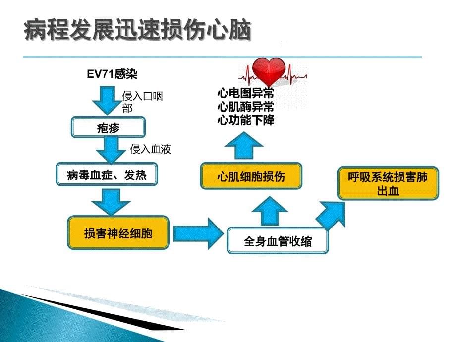 磷酸肌酸儿科PPT课件_第5页