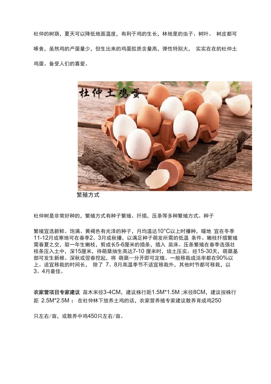 土鸡养殖技术养鸡技术：适合种养结合的黄金树种_第3页