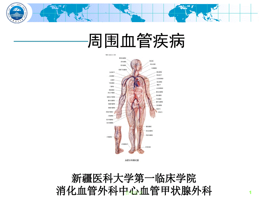 周围血管疾病专业医疗_第1页