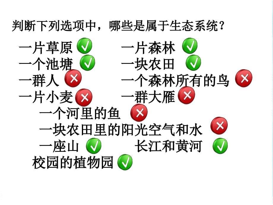 七年级上册生物第一单元第二章第二节生物与环境组成生态系统P19PPT完整版课件_第5页