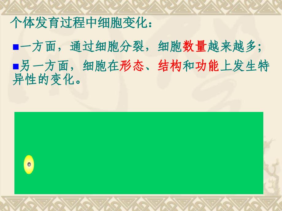 32胚胎干细胞的研究及其应用_第3页