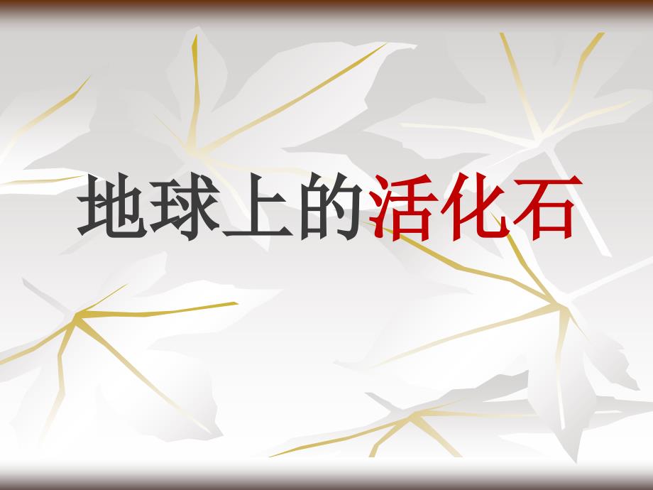 《活化石》ppt概述课件_第1页