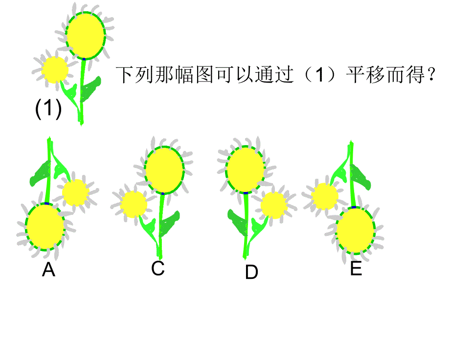 31生活中的平移习题_第3页