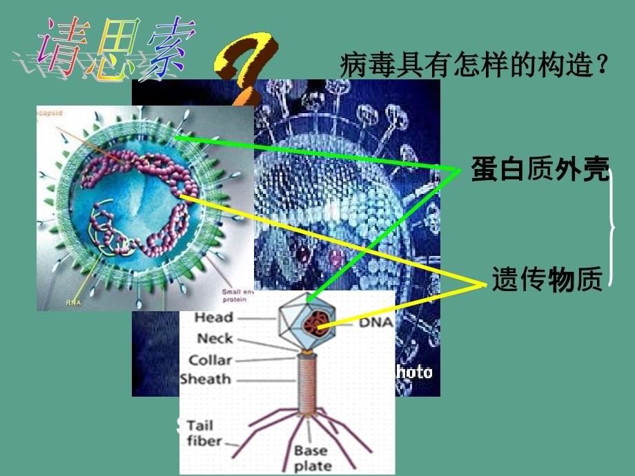 湖南省长沙市高中生物11从生物圈到细胞1必修1ppt课件_第5页