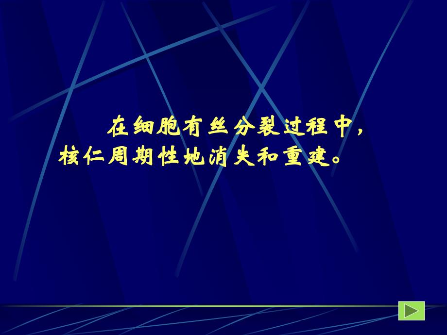 细胞核结构和功能课件_第4页