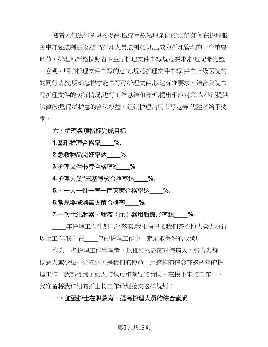 护士长每月的工作计划（四篇）.doc_第5页