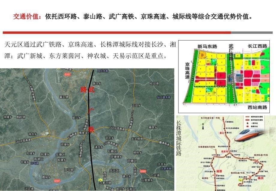 株洲泰山路项目策划思路85p_第5页