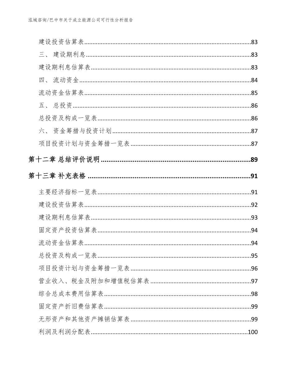 巴中市关于成立能源公司可行性分析报告（模板范文）_第5页