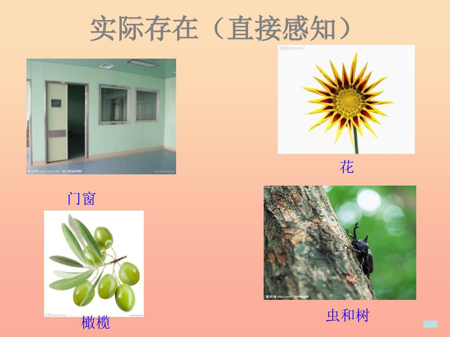 六年级科学下册 第二单元 物质的变化 1 我们身边的物质课件1 教科版_第2页