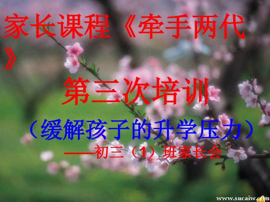 初三下学期2班家长会课件
