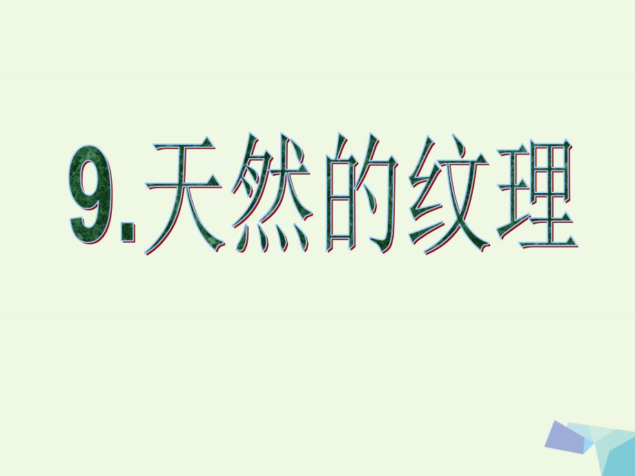 三年级上册美术课件第9课天然的纹理2人教新课标_第1页