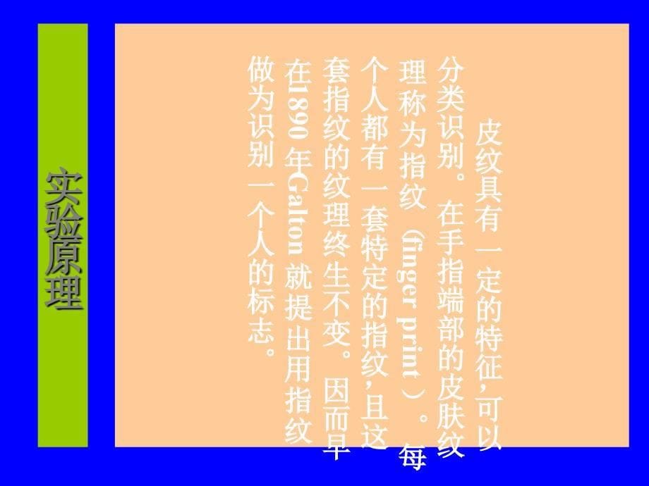 人类指纹分析.ppt_第5页