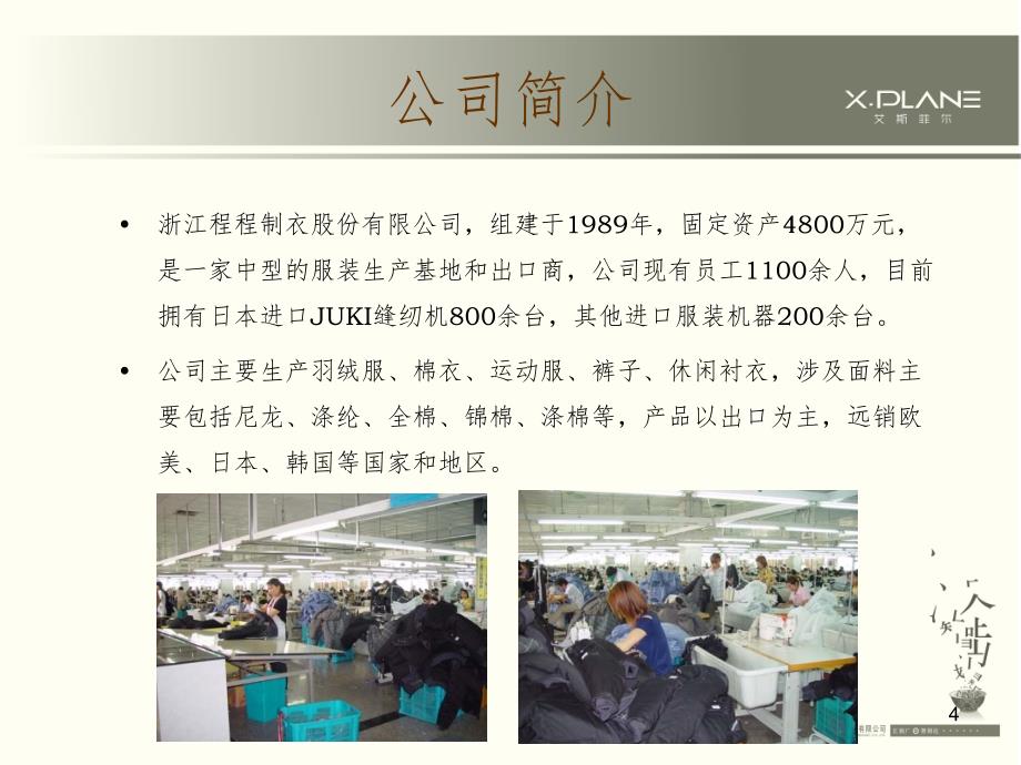 艾斯菲尔品牌案例分析PPT精选文档_第4页