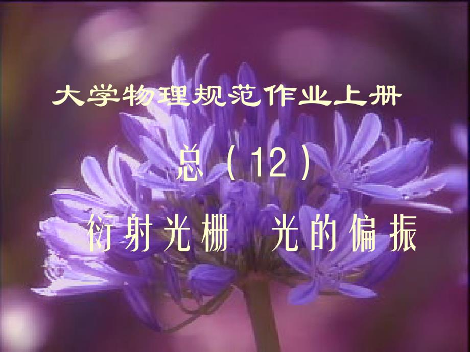 大学物理规范作业C上12光栅偏振_第1页