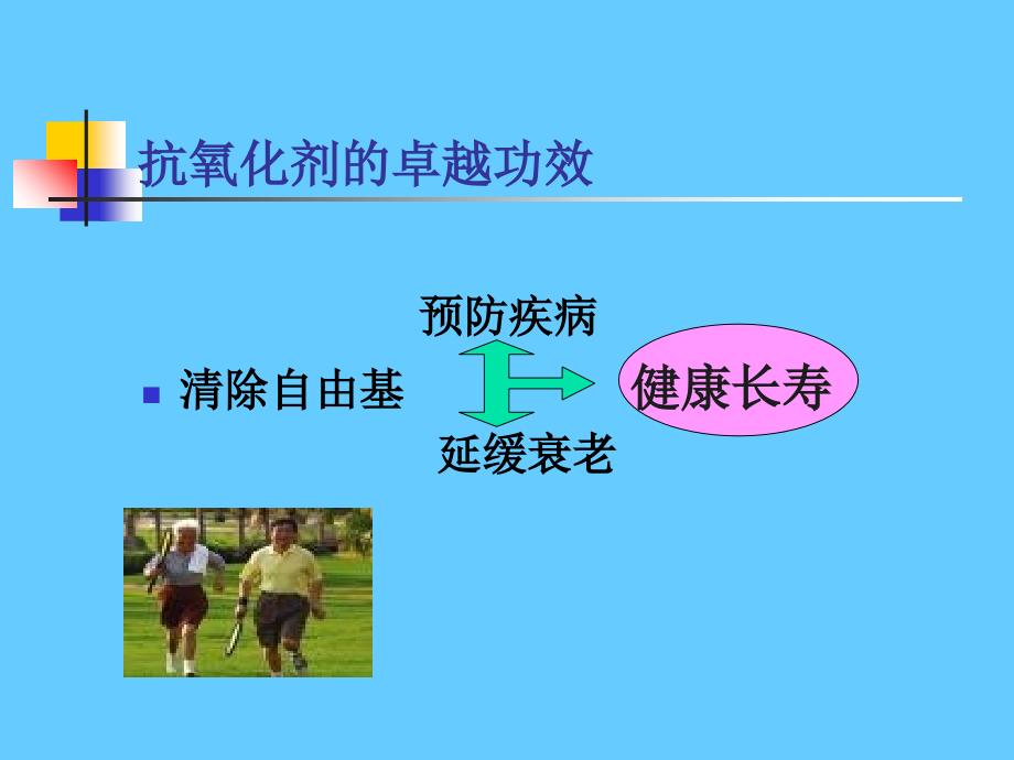 《抗氧化剂维》PPT课件_第2页