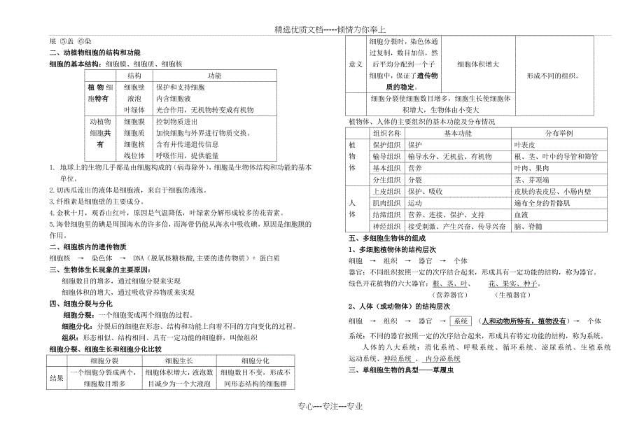 冀教版《生物》七年级上总复习资料_第5页