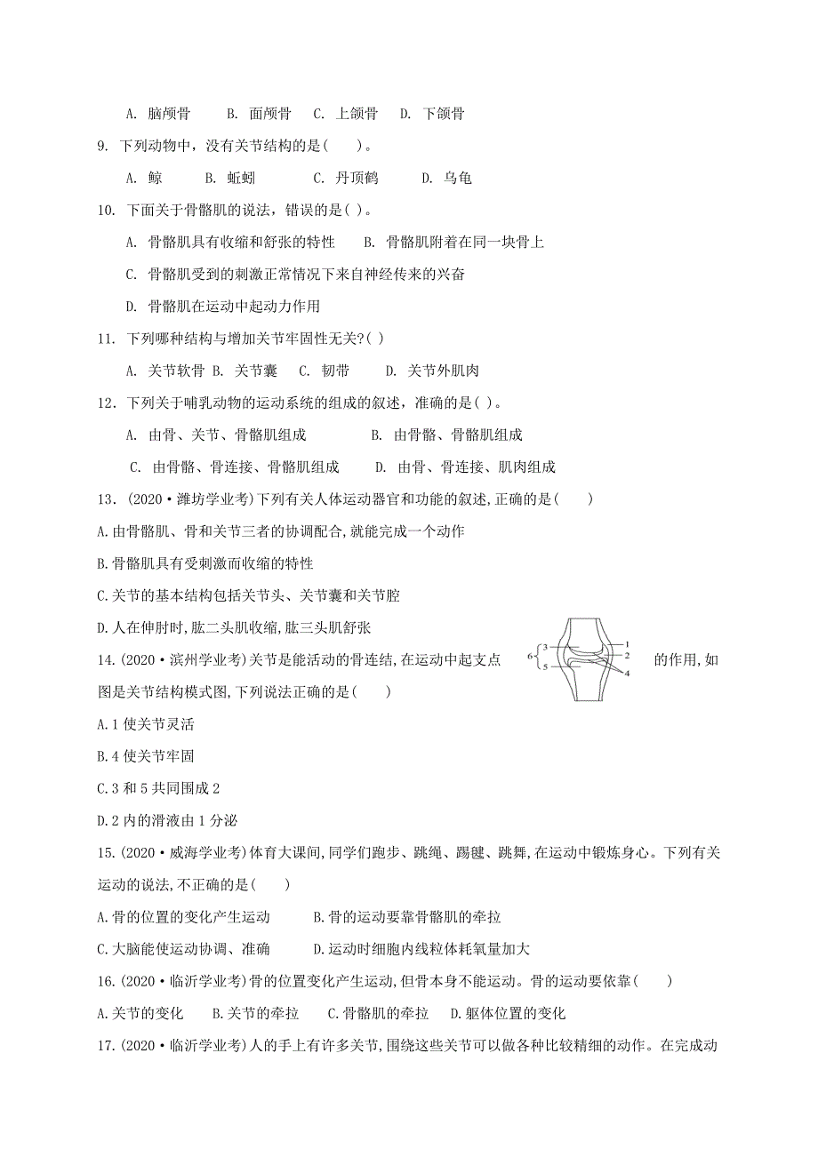 七年级生物上册2.2.3动物的运动导学案无答案新版济南版通用_第3页