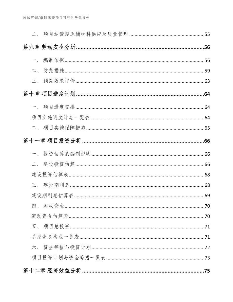 濮阳氢能项目可行性研究报告（范文模板）_第3页