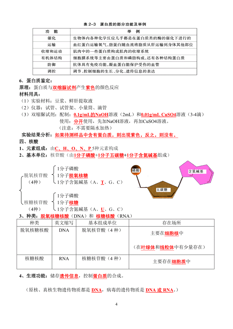 南京市2009年高二生物学业水测试平必修1复习提纲.doc_第4页