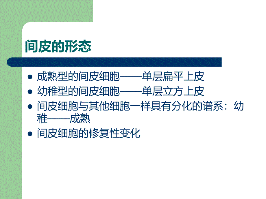 良性上皮样间皮增生课件_第4页