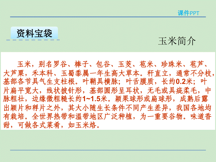 二年级下册语文课件金色的玉米棒湘教版 (共31张PPT)_第2页