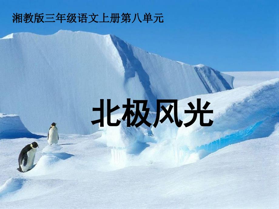 三年级语文上册第八单元北极风光课件3湘教版湘教版小学三年级上册语文课件_第1页