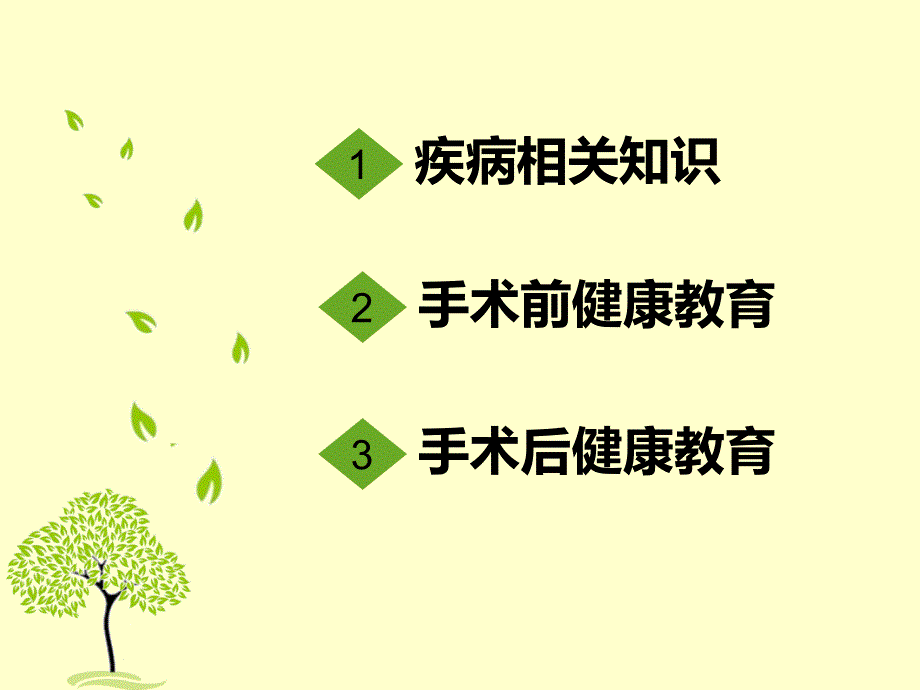 肺癌围手术期的健康宣教ppt课件.ppt_第2页