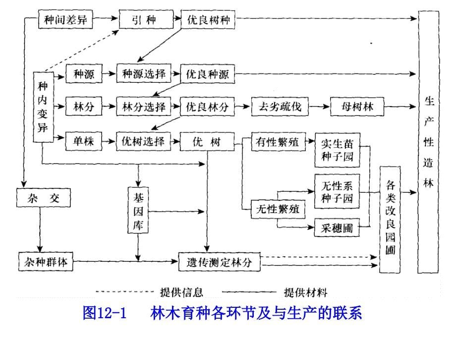 12林木育种计划和多世代_第5页