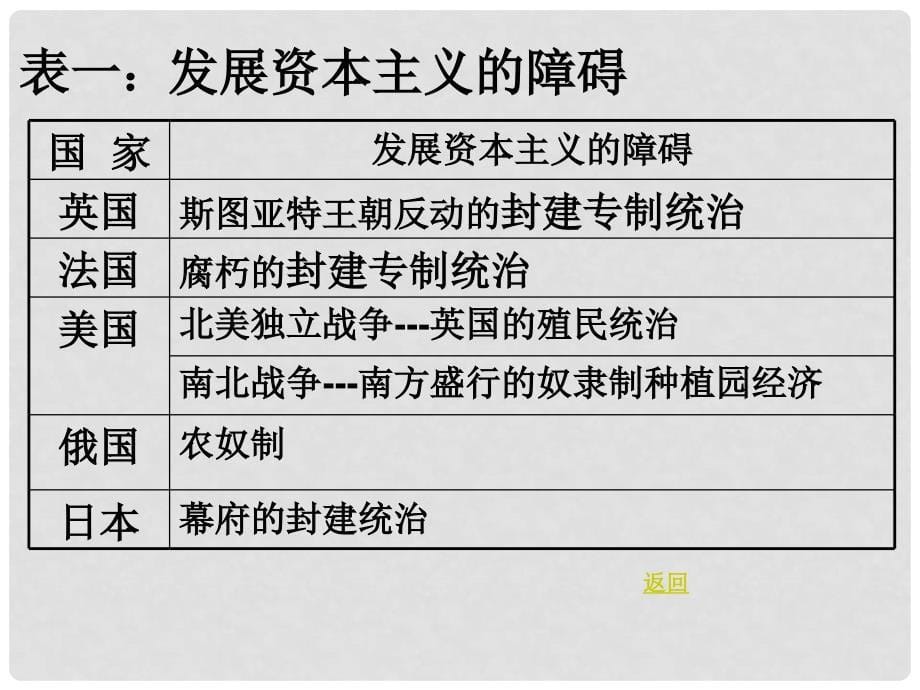 江苏省徐州市第34中学九年级历史上册《世界近代史（上）》 复习课件 北师大版_第5页