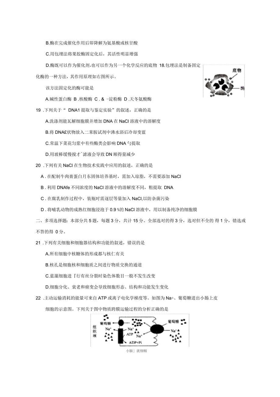 江苏省海安高级中学2018-2019学年高二生物6月月考试题_第5页