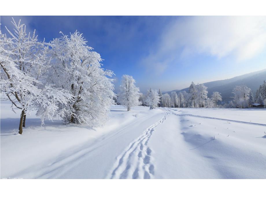 《雪地里的小画家》优秀完整课件PPT_第2页