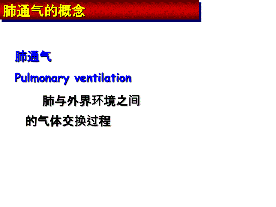 呼吸系统生理课件_第4页