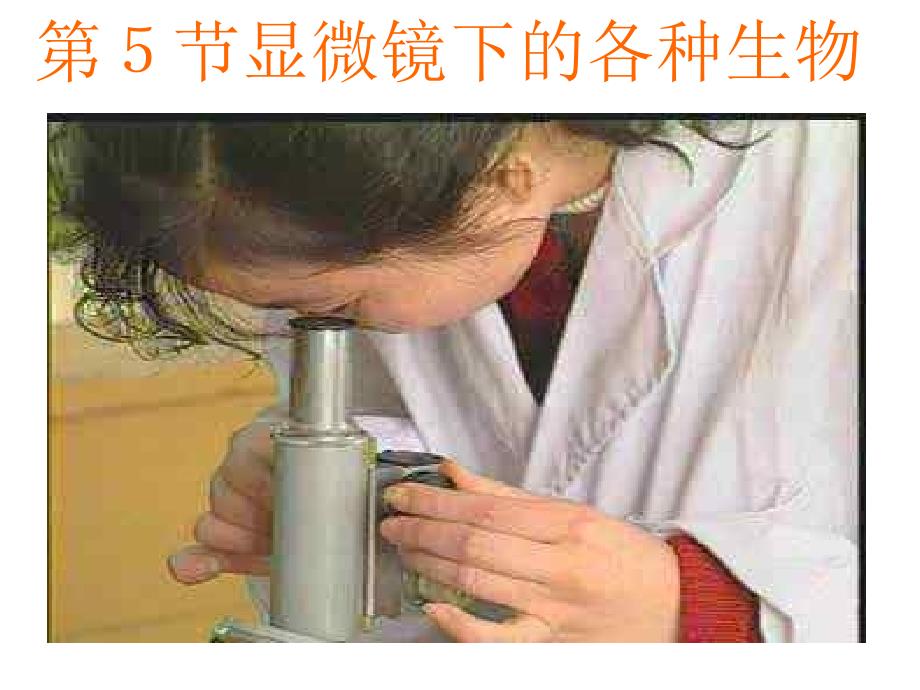 年显微镜下的各种生物 湘教版_第1页