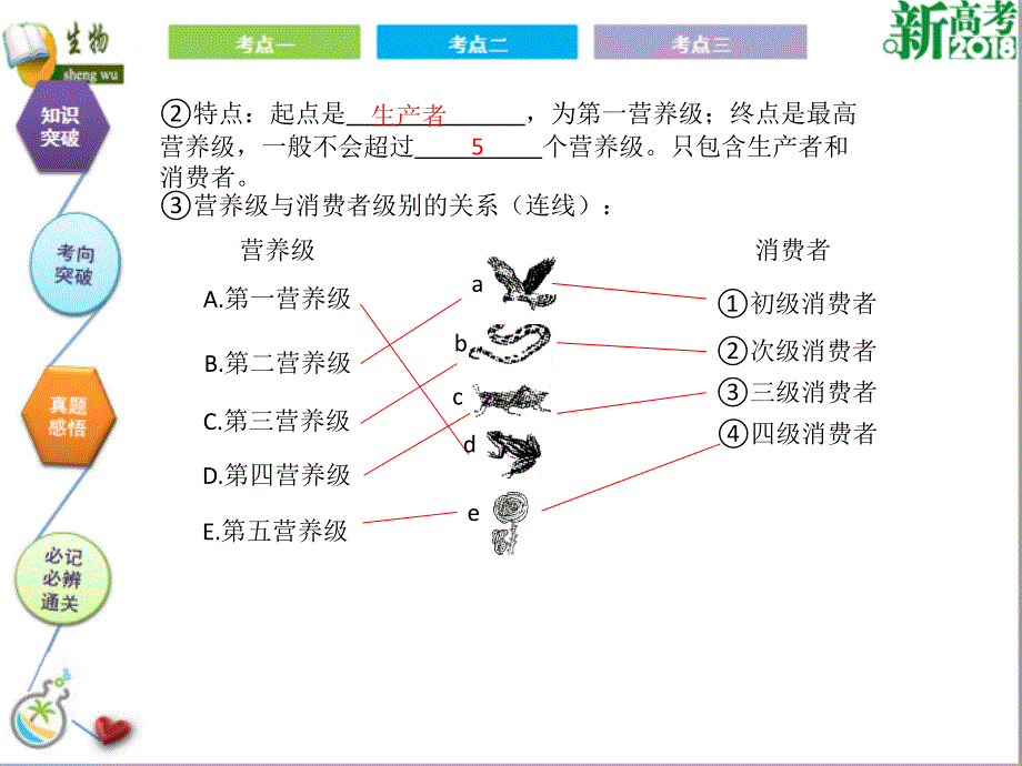 （全国卷 地区专用）高考生物总复习 第十一单元 生态系统和环境保护 第1讲 生态系统的结构和能量流动课件_第4页