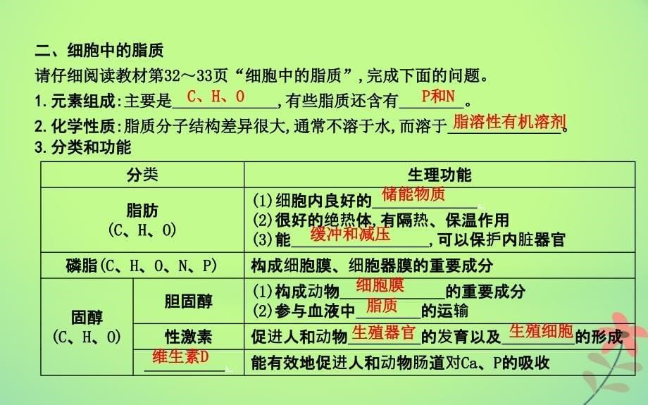 2018版高中生物 第2章 组成细胞的分子 第4节 细胞中的糖类和脂质课件 新人教版必修1_第5页