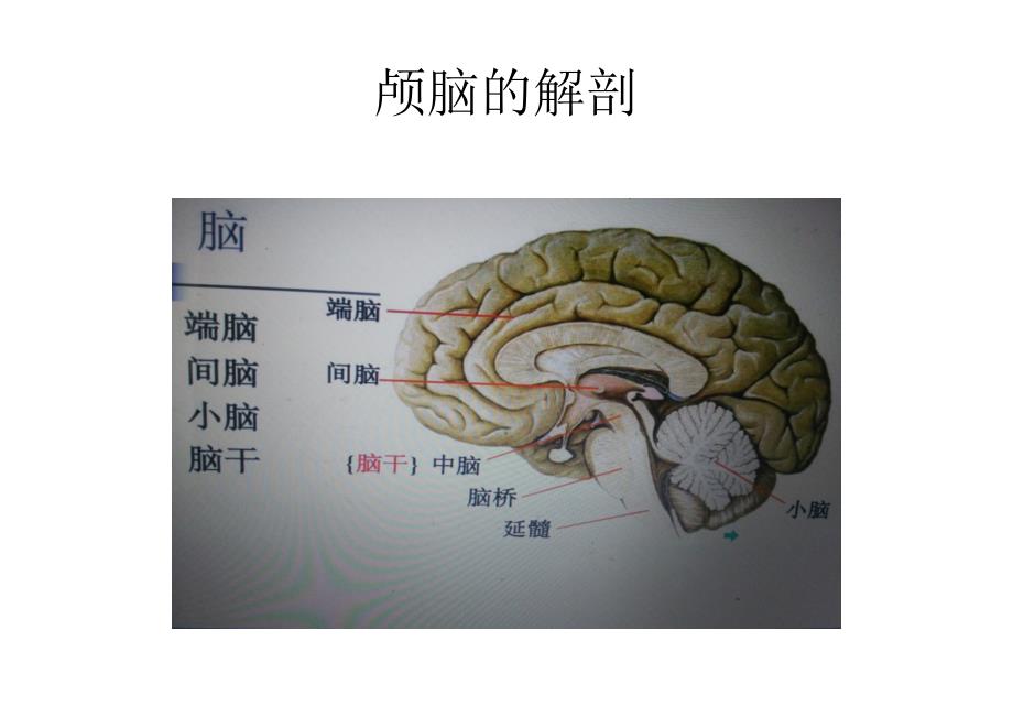 神经外科护理细节ppt课件_第2页