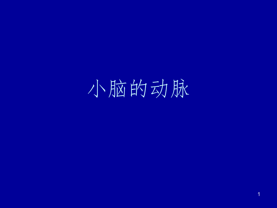 小脑动脉.ppt_第1页