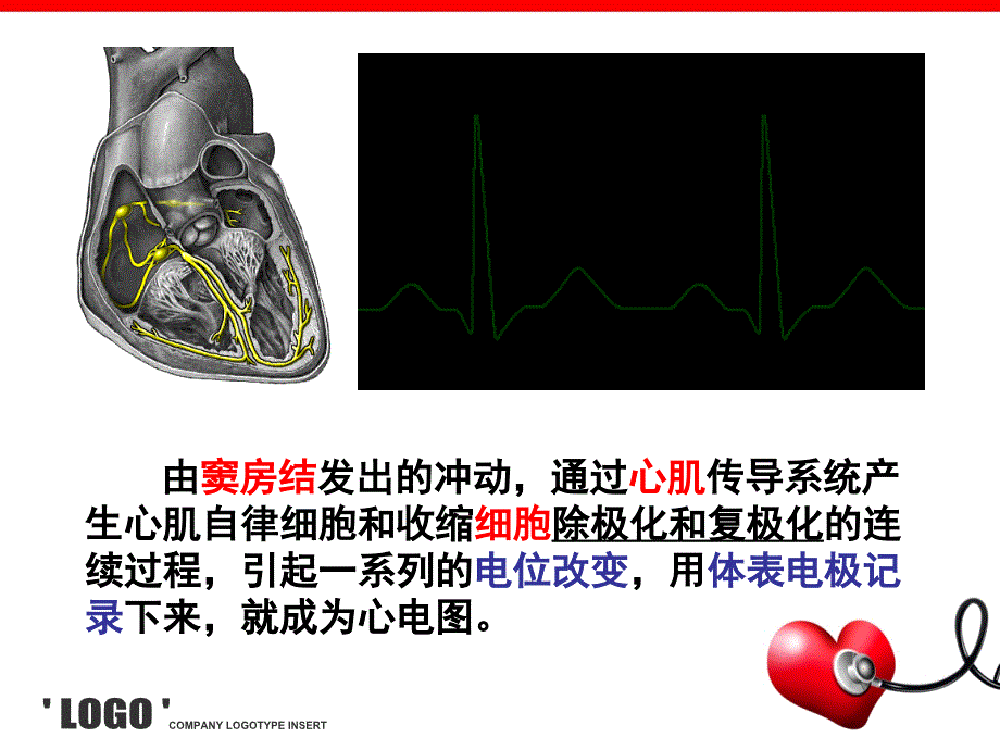 心电图的认识初步(非专科护士)_第4页