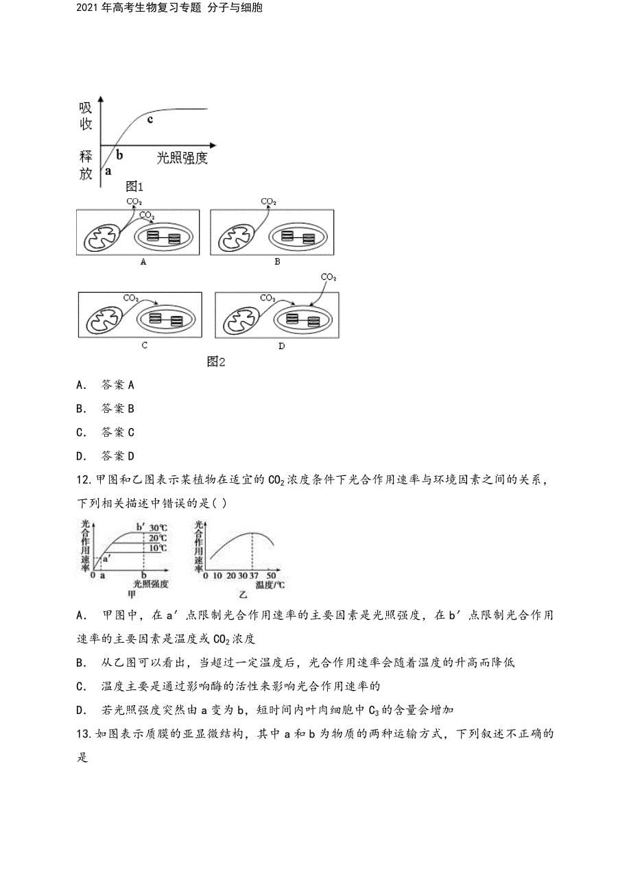 2021年高考生物复习专题-分子与细胞.doc_第5页